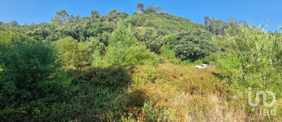 Land in Azueira e Sobral da Abelheira of 7,500 m²