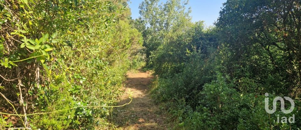 Land in Azueira e Sobral da Abelheira of 7,500 m²