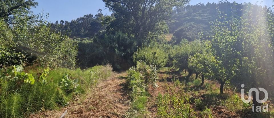 Land in Azueira e Sobral da Abelheira of 7,500 m²
