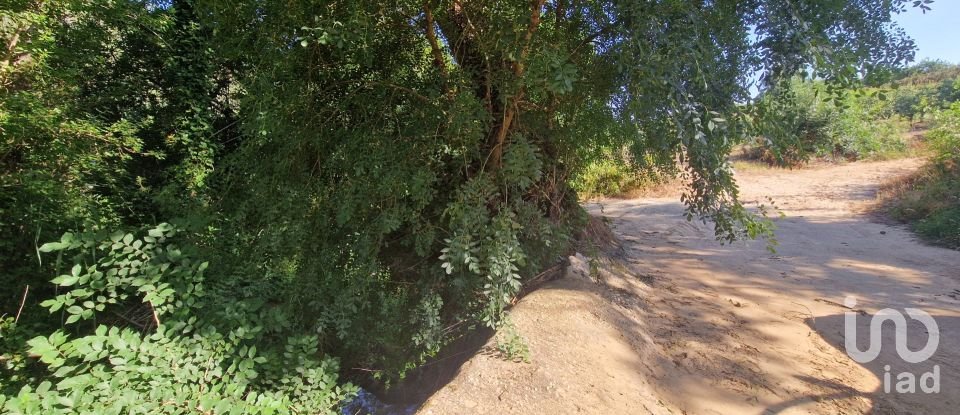 Land in Azueira e Sobral da Abelheira of 7,500 m²