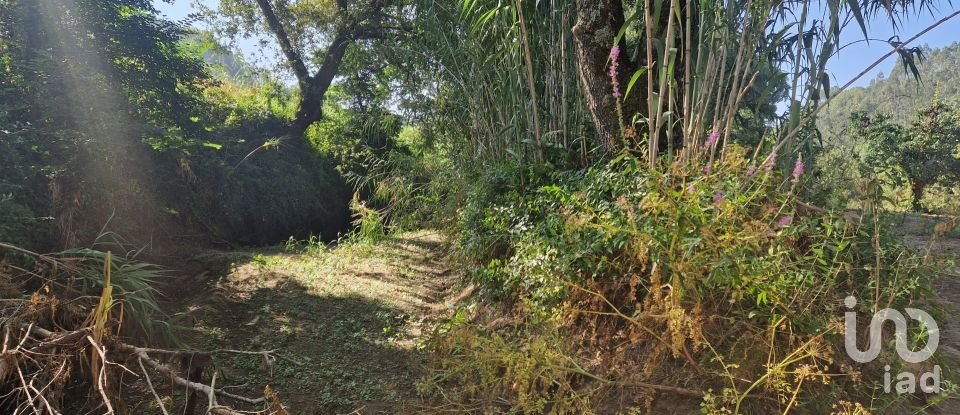 Land in Azueira e Sobral da Abelheira of 7,500 m²