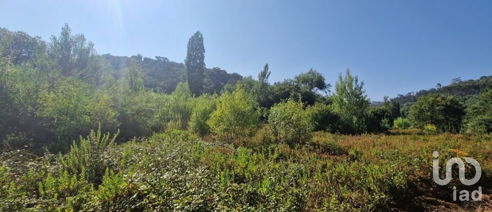 Land in Azueira e Sobral da Abelheira of 7,500 m²