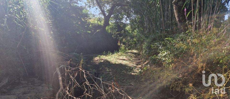 Land in Azueira e Sobral da Abelheira of 7,500 m²