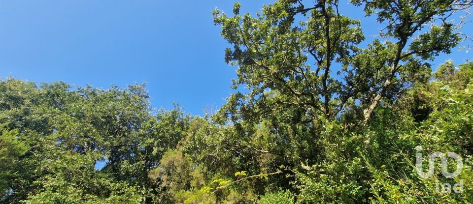 Land in Azueira e Sobral da Abelheira of 7,500 m²