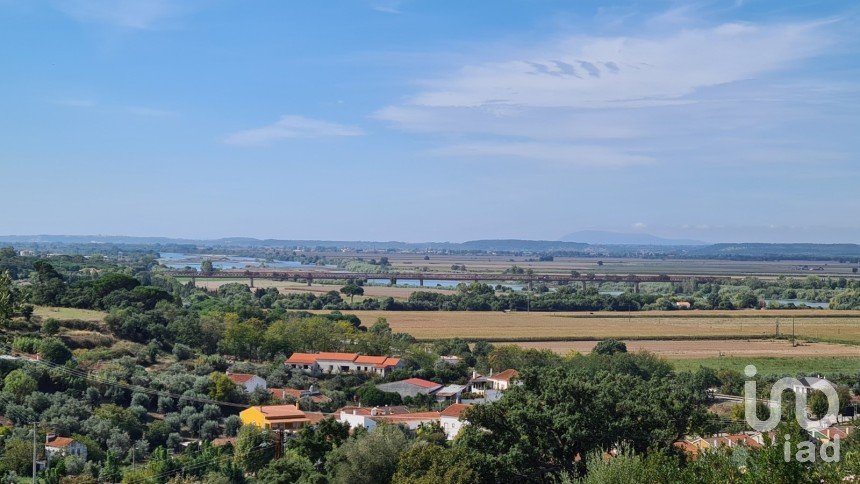 Terreno em Chamusca e Pinheiro Grande de 647 m²