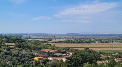 Terrain à Chamusca e Pinheiro Grande de 647 m²