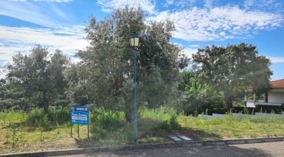 Terrain à Chamusca e Pinheiro Grande de 647 m²