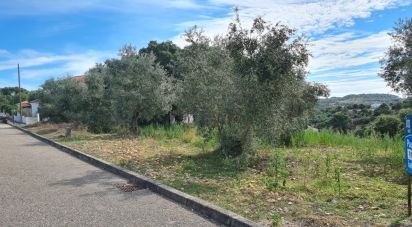 Terrain à Chamusca e Pinheiro Grande de 647 m²