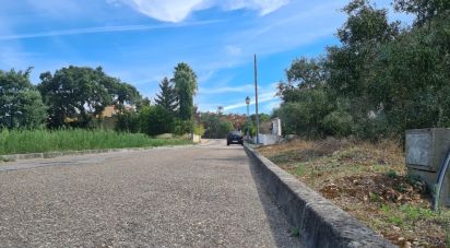 Terrain à Chamusca e Pinheiro Grande de 647 m²