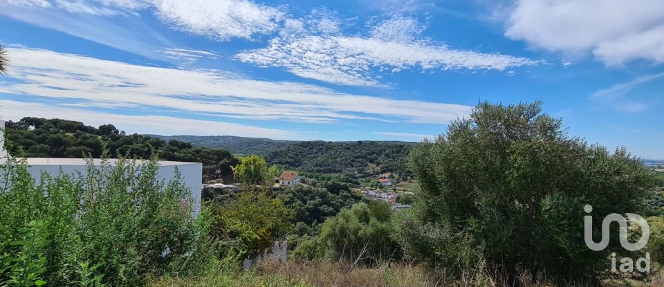 Terreno em Chamusca e Pinheiro Grande de 647 m²