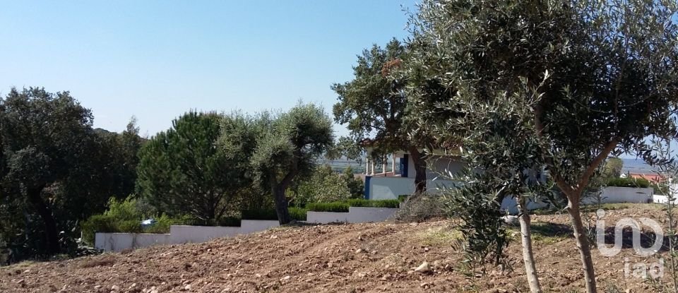 Terreno em Chamusca e Pinheiro Grande de 647 m²