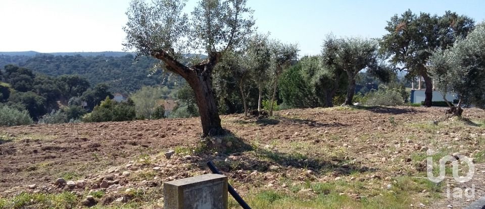 Terreno em Chamusca e Pinheiro Grande de 647 m²