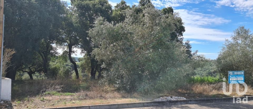 Terreno em Chamusca e Pinheiro Grande de 647 m²