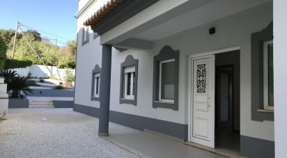 House T3 in Albufeira e Olhos de Água of 369 m²