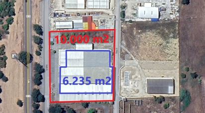 Shop / premises commercial in Muge of 5,460 m²