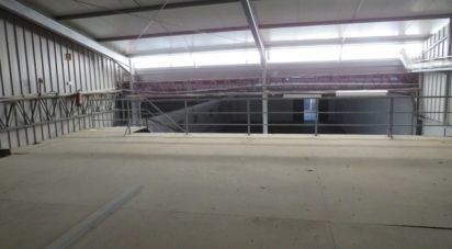 Boutique/Local commercial à Muge de 5 460 m²