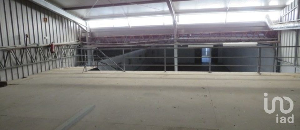 Shop / premises commercial in Muge of 5,460 m²