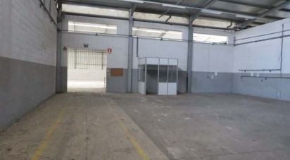 Boutique/Local commercial à Muge de 5 460 m²