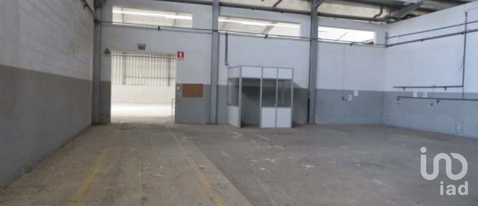 Shop / premises commercial in Muge of 5,460 m²