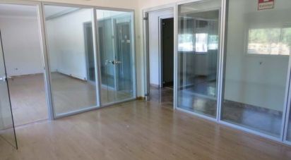 Boutique/Local commercial à Muge de 5 460 m²