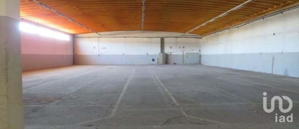 Shop / premises commercial in Muge of 5,460 m²