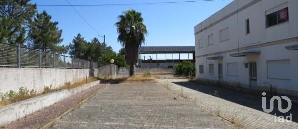 Shop / premises commercial in Muge of 5,460 m²