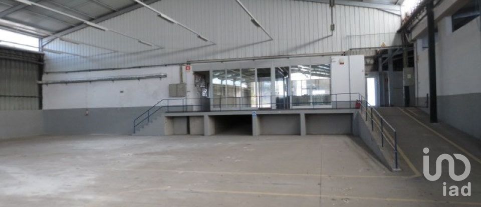 Shop / premises commercial in Muge of 5,460 m²