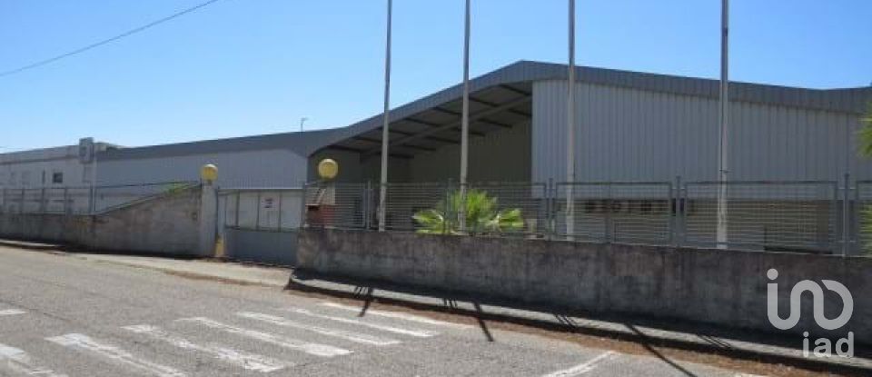 Shop / premises commercial in Muge of 5,460 m²