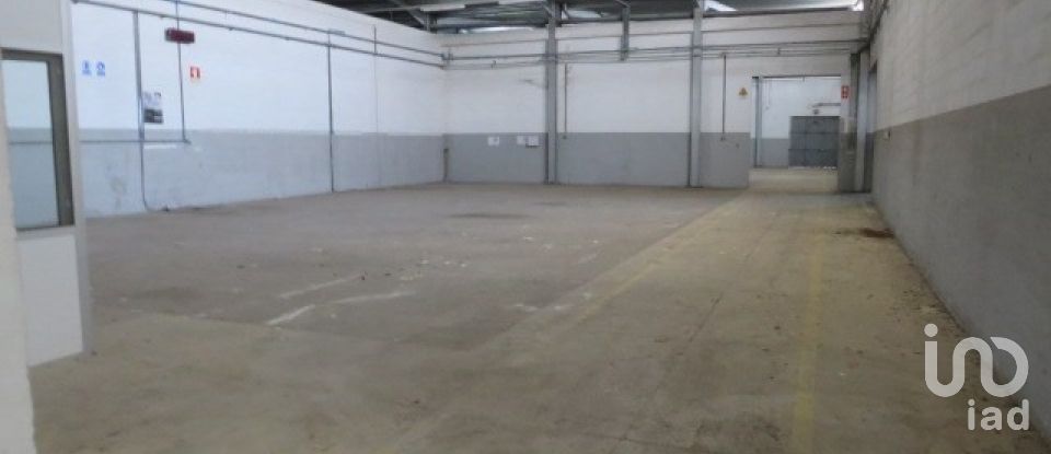 Shop / premises commercial in Muge of 5,460 m²