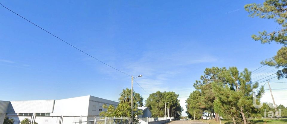 Shop / premises commercial in Muge of 5,460 m²