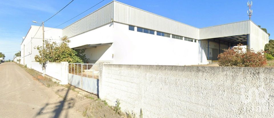 Shop / premises commercial in Muge of 5,460 m²