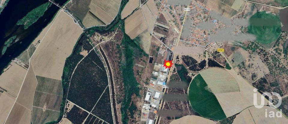 Shop / premises commercial in Muge of 5,460 m²