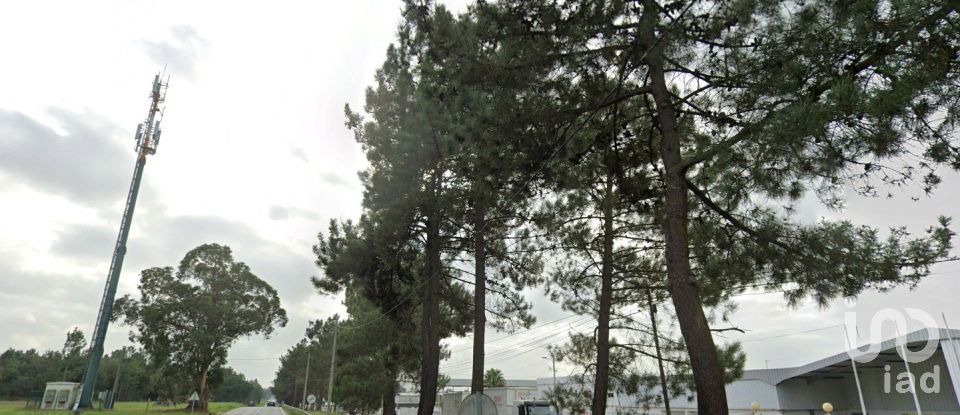 Shop / premises commercial in Muge of 5,460 m²