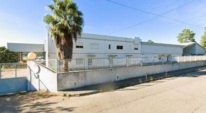 Shop / premises commercial in Muge of 5,460 m²
