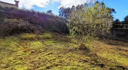 Land in Perre of 269 m²