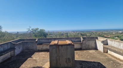 Block of flats in Santa Bárbara de Nexe of 175 m²
