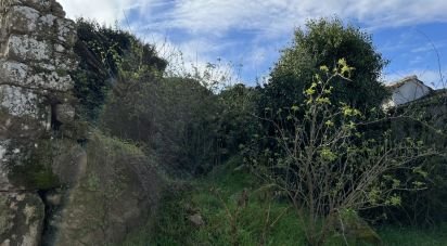 Maison rustique T0 à São João da Fresta de 81 m²