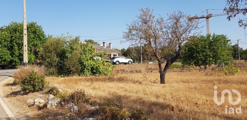 Terreno em Boliqueime de 11 173 m²