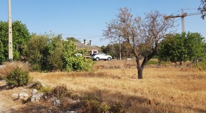 Land in Boliqueime of 11,173 m²