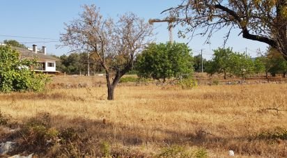 Land in Boliqueime of 11,173 m²