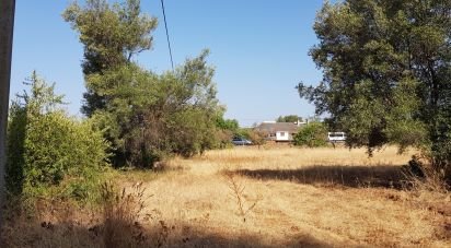 Land in Boliqueime of 11,173 m²