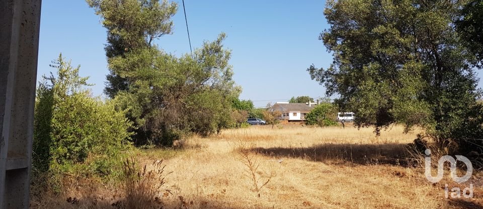 Terreno em Boliqueime de 11 173 m²