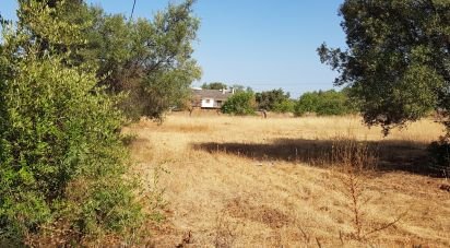 Land in Boliqueime of 11,173 m²