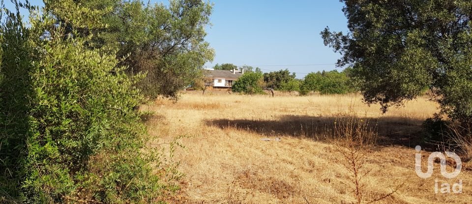 Terreno em Boliqueime de 11 173 m²