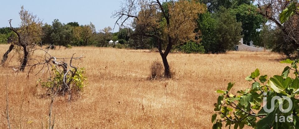 Terreno em Boliqueime de 11 173 m²