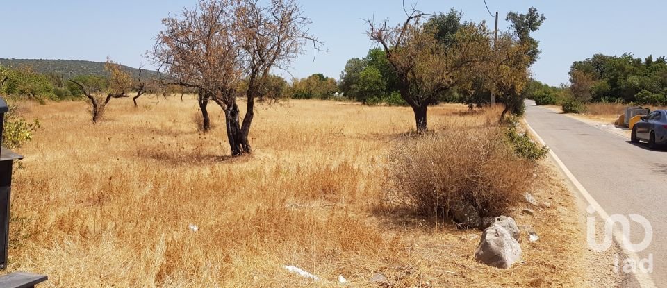 Terreno em Boliqueime de 11 173 m²