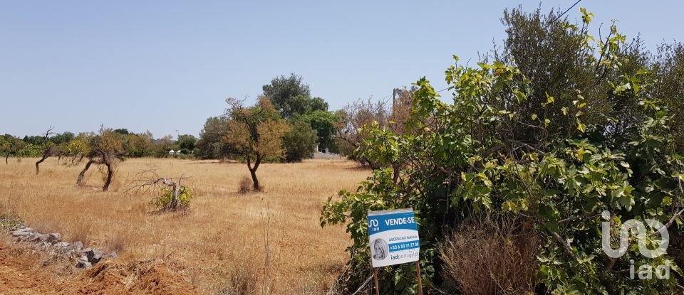 Terreno em Boliqueime de 11 173 m²