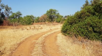 Land in Boliqueime of 13,750 m²
