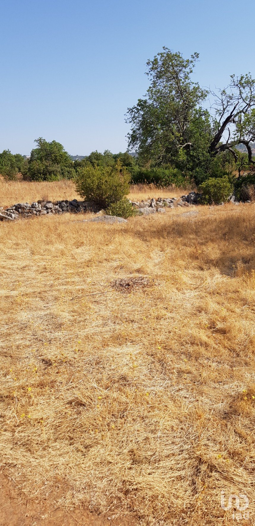 Terreno em Boliqueime de 13 750 m²