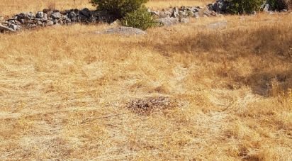 Land in Boliqueime of 13,750 m²